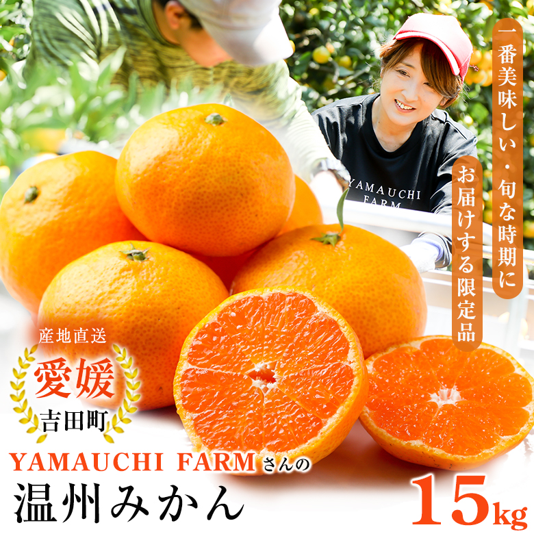 冬の味覚 一番美味しい旬な時期にお届けする限定品 愛媛・吉田町の