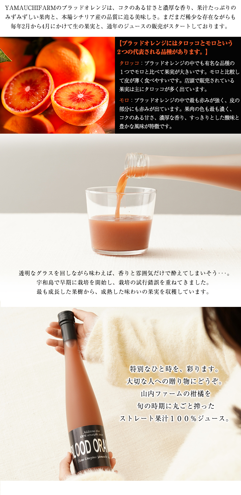 みかん ブラッドオレンジジュース 100％ 370ml オレンジジュース モロ