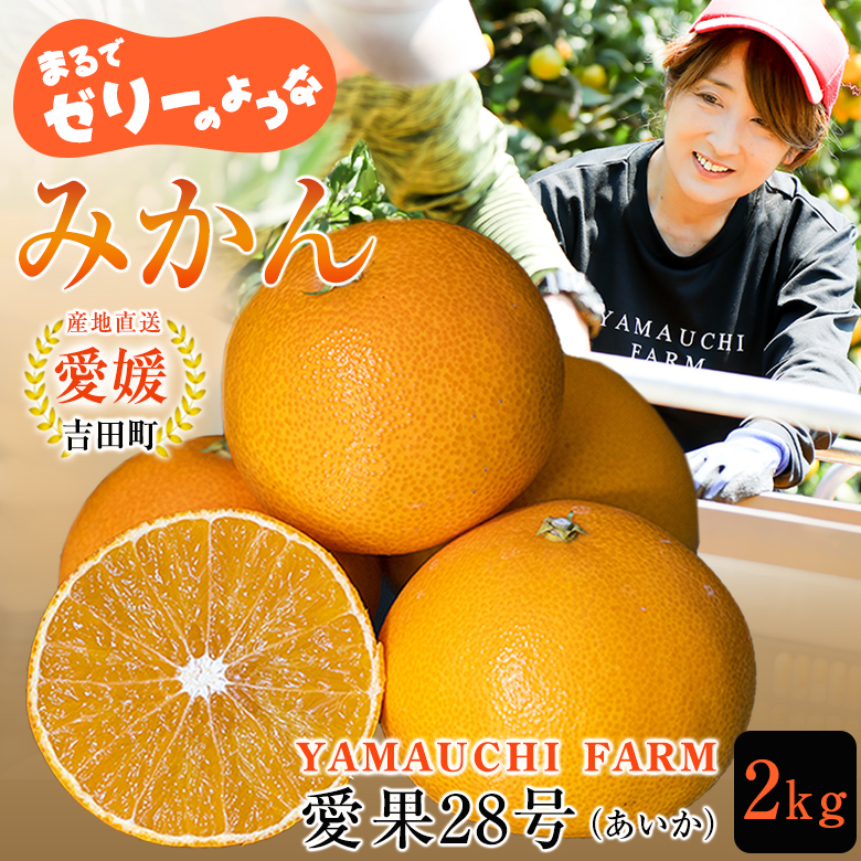 専用　セイカイコレクション尺ペン 未使用品２本 モアザンボックス　アイマ9本 専用 セイカイコレクション尺ペン 未使用品2本 モアザンボックス