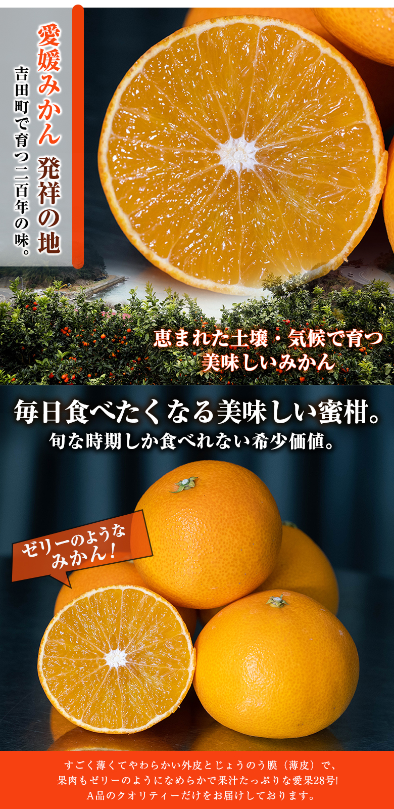 愛果28号 2kg A品 贈答品質 愛媛県産「あいか」愛媛果試28号 YAMAUCHI