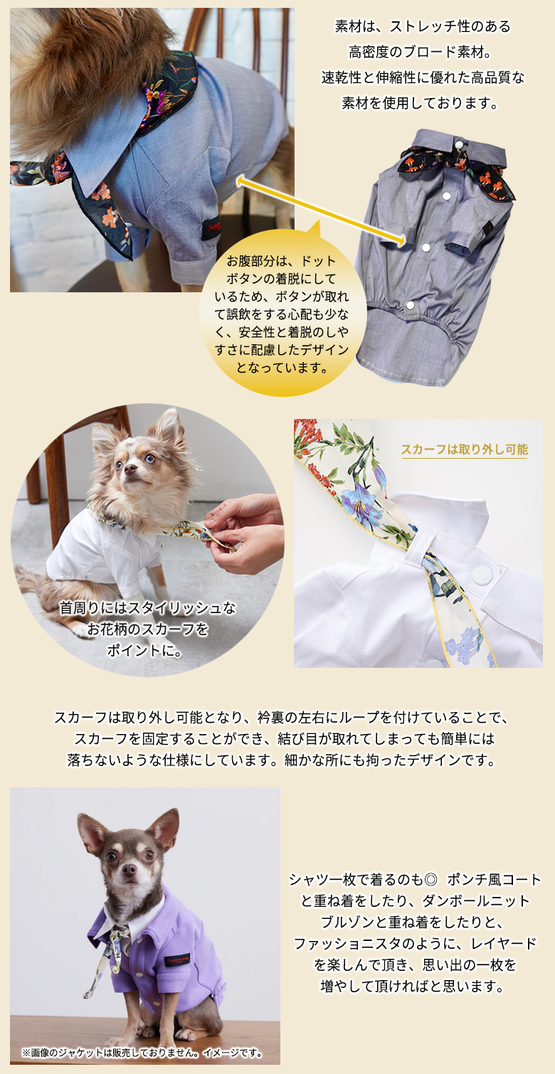 Numero wang Tokyo スカーフ付きストレッチシャツ ダックス、胴