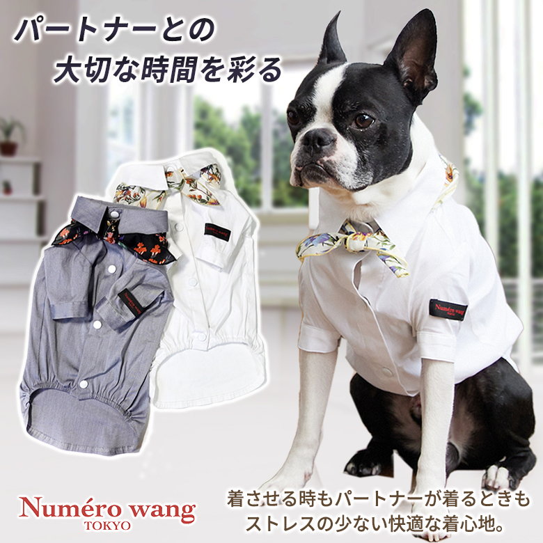 Numero wang Tokyo スカーフ付きストレッチシャツ ダックス、胴