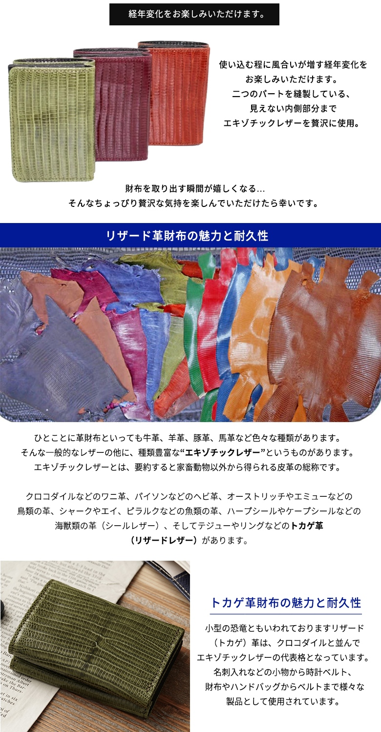 リザード革 ミニ財布 テジュー トカゲ革 財布 リザードレザー ヤクルス