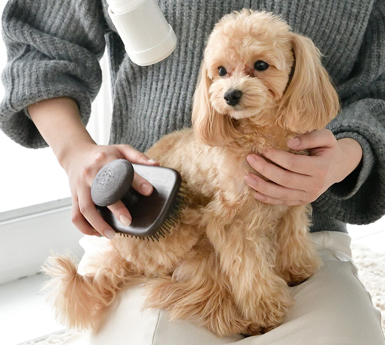 LOUVREDO 日本製 復元ブラシ　ペット用 犬猫 ブラッシング マッサージ LOUVREDO 復元ブラシPET ルーヴルドー ペットブラシ グルーミング
