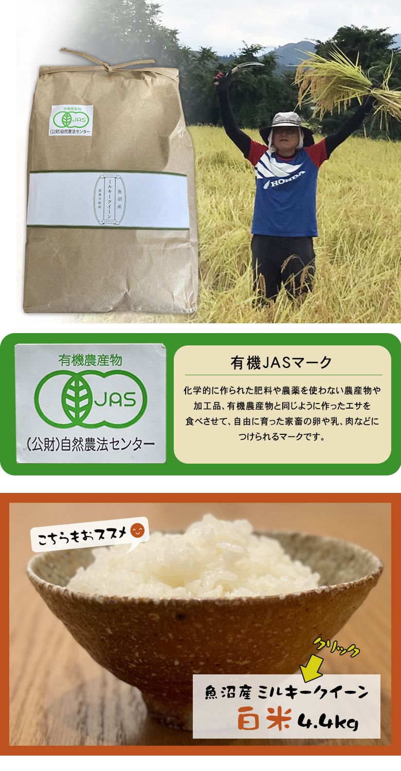 令和7年新米 魚沼産 農薬不使用 有機認定 ミルキークイーン 玄米 5kg