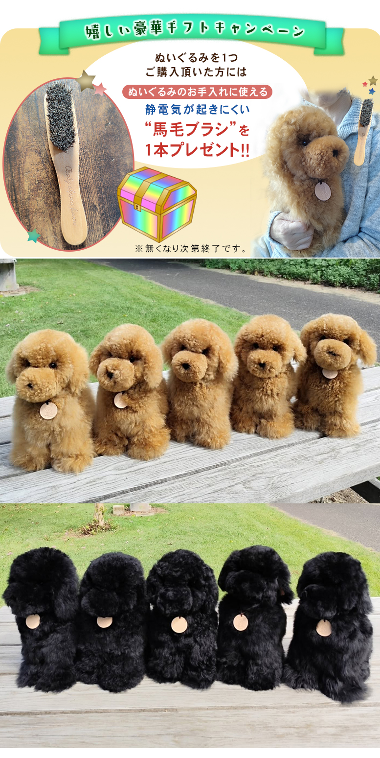 プードルbaby着せ替えぬいぐるみOOAK トイプードル 犬 ぬいぐるみ リアル Baby alpaca fuwari ベビー