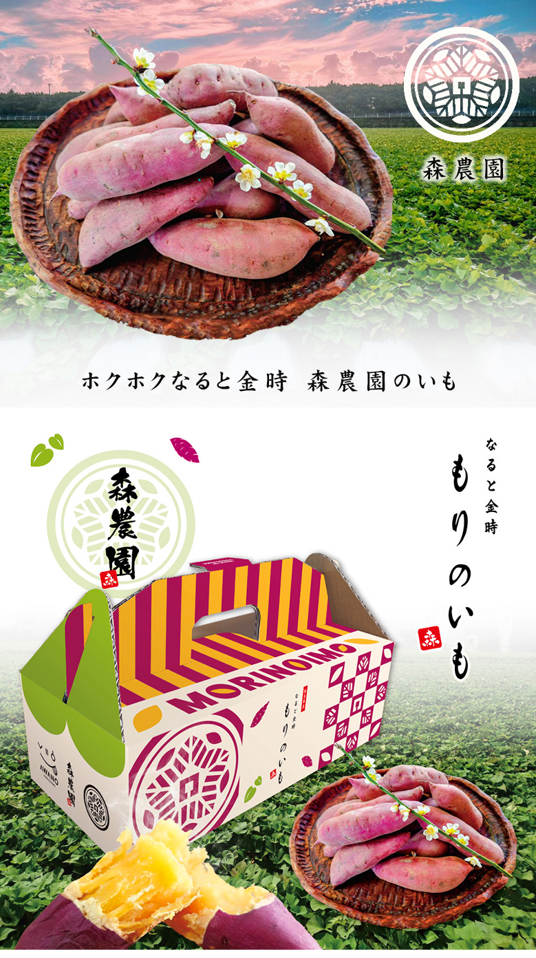 森農園 もりのいも 1.5kg BOX なると金時 鳴門金時 さつまいも