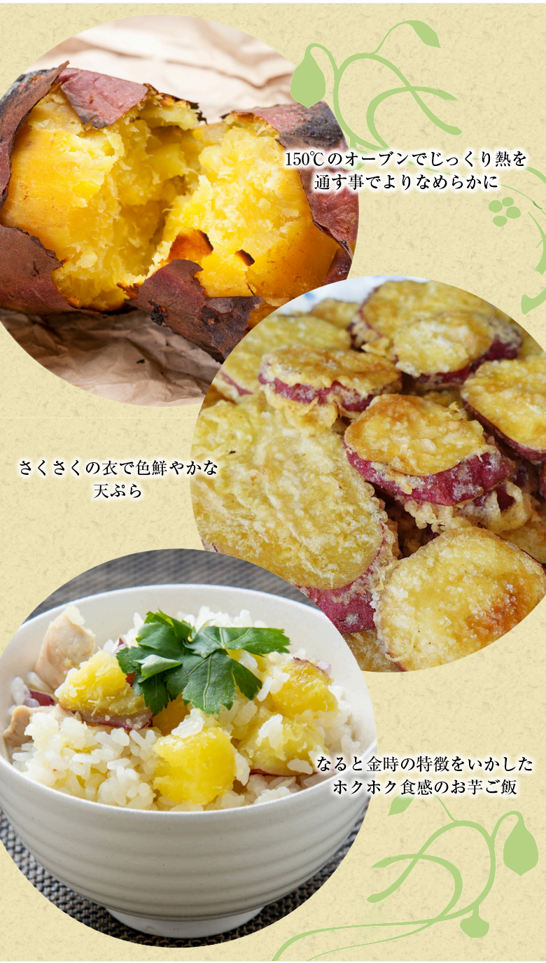 森農園 もりのいも 1.5kg BOX なると金時 鳴門金時 さつまいも
