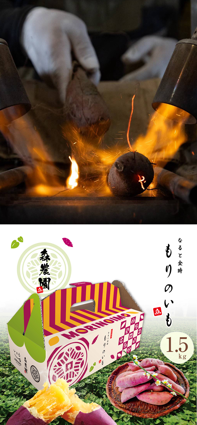 森農園 もりのいも 1.5kg BOX なると金時 鳴門金時 さつまいも