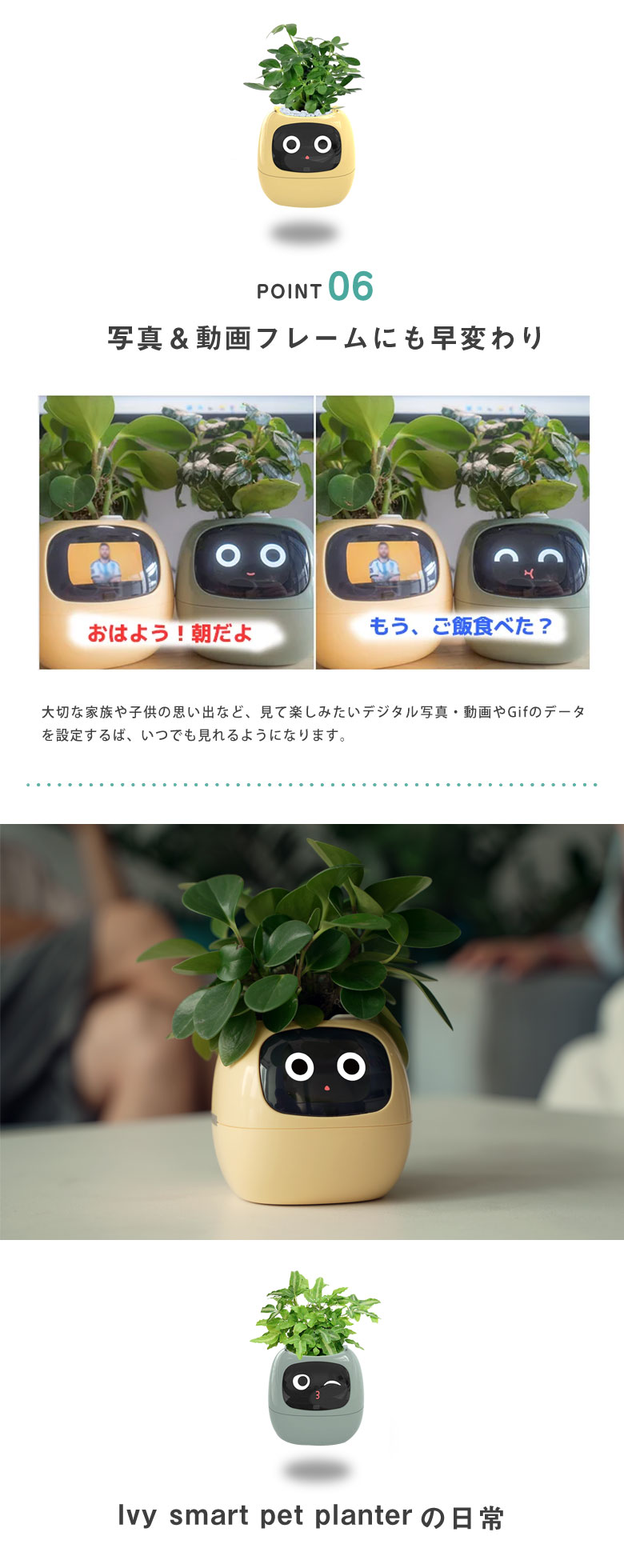 アイビースマートペットプランター Ivy アイビー プランター AIプランター 観葉植物 栽培 RASY 送料無料 IOTスマートペットプランター