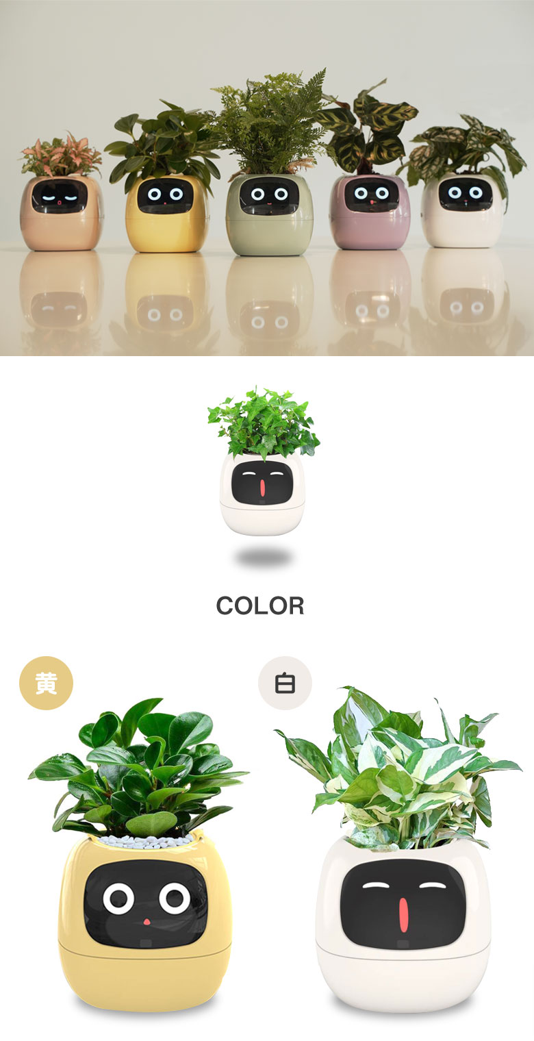 アイビースマートペットプランター Ivy アイビー プランター AI