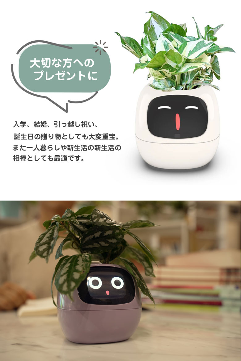 アイビースマートペットプランター Ivy アイビー プランター AI