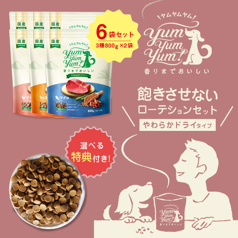 特典付き yum yum yum スタンダード やわらかドライタイプ（3種800ｇ×2袋）計6袋 チキン 馬肉 マグロ 犬用総合栄養食  :taku0484:想いを繋ぐ百貨店 TSUNAGU 通販 