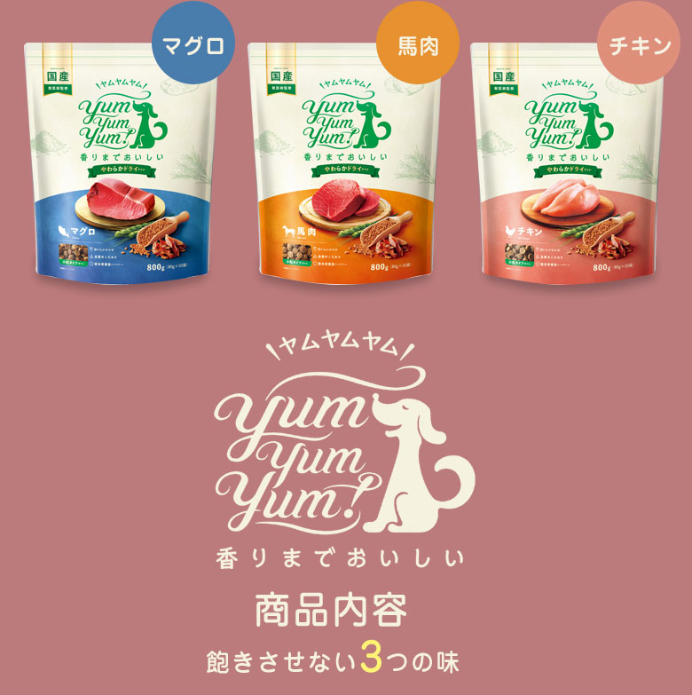 特典付き yum スタンダード やわらかドライタイプ（3種800g×2袋）計6