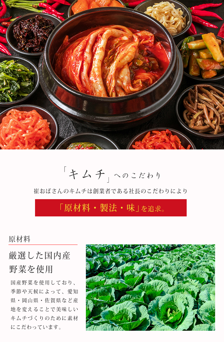 崔おばさんのキムチ 白菜 大根 胡瓜 チェおばさん キムチ きむち