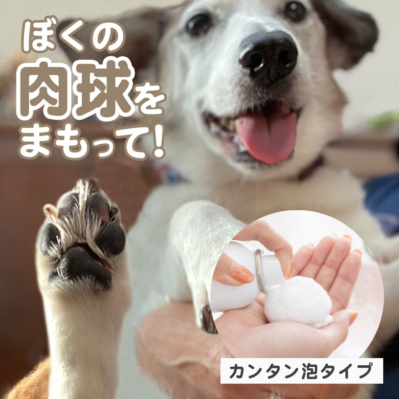 肉球を守る泡 犬 肉球 保護 簡単 泡タイプ ベタつかない なめても大丈夫 散歩 保湿 柔軟 コーティング 手軽 肉球ケア ガード 水に強い ひび割れ  あわ ペット 猫 : taku0530 : 想いを繋ぐ百貨店 TSUNAGU - 通販 - Yahoo!ショッピング