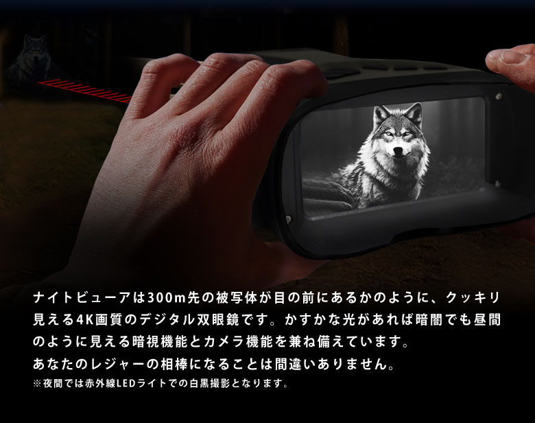 4Kデジタル双眼鏡 ナイトビューア DT79 Wellwin社 双眼鏡 暗視