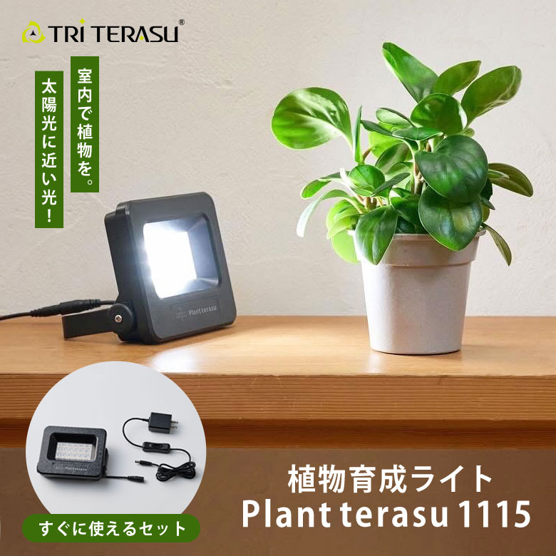 taku101401.jpg