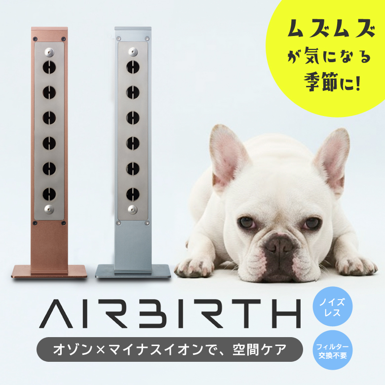マイナスイオン発生器　空気清浄機■森林研究所■フォレスト　ＦＯＲＥＳＴ■脱臭 AIRBIRTH エアバース オゾン発生器 空気清浄機 除菌脱臭機 マイナス