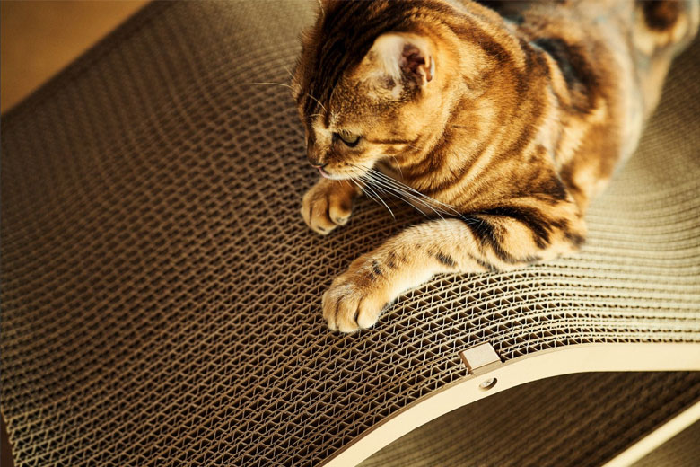 Cat Cellar mini ホワイト 爪とぎ 爪研ぎ 猫 おしゃれ ゴミが出にくい