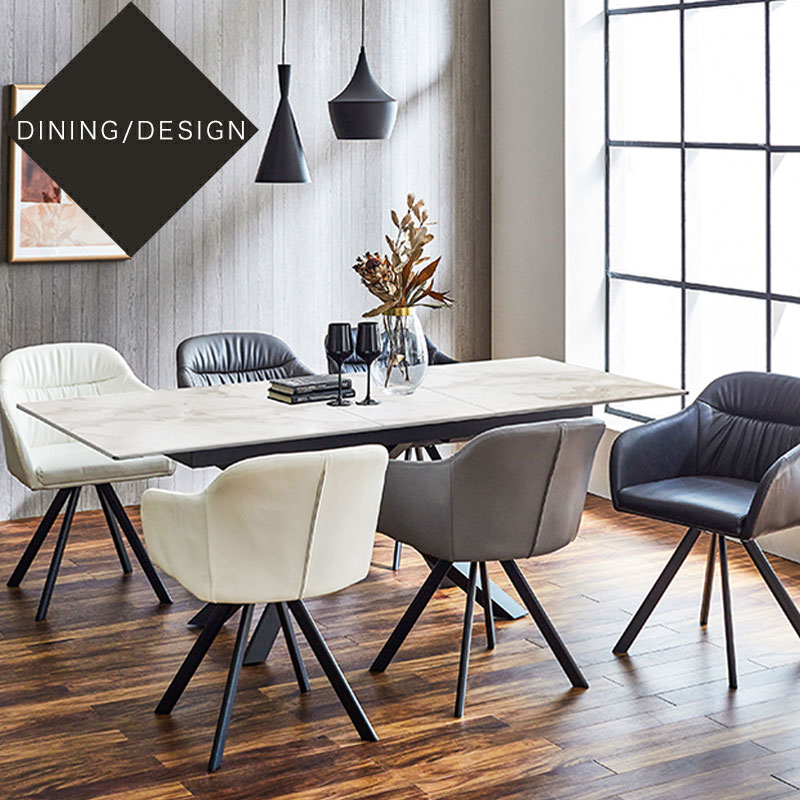 回転チェアー 単品 イス ダイニングチェアー 食卓 椅子 選べるチェアー