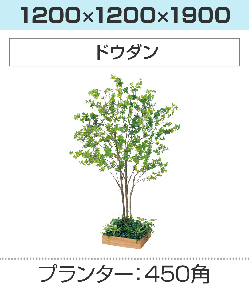 450角 ドウダン 幅1200×奥行1200×高さ1900mm