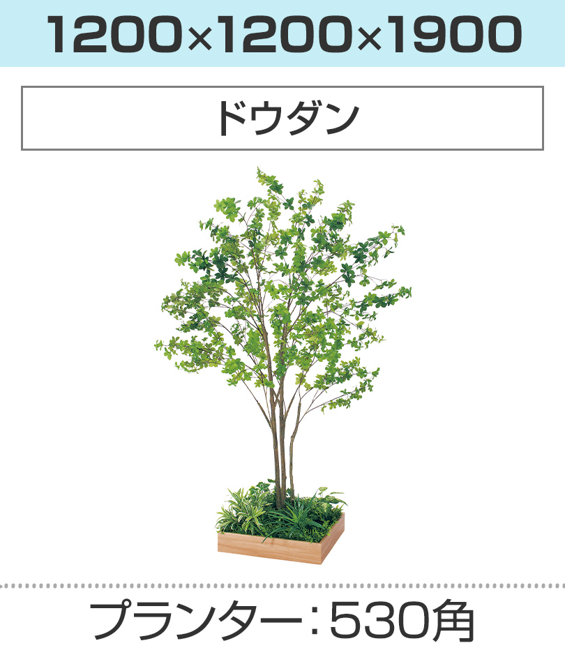 530角 ドウダン 幅1200×奥行1200×高さ1900mm