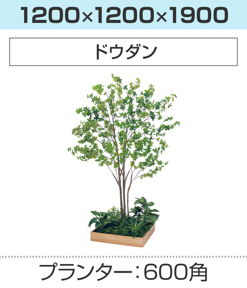 600角 ドウダン 幅1200×奥行1200×高さ1900mm