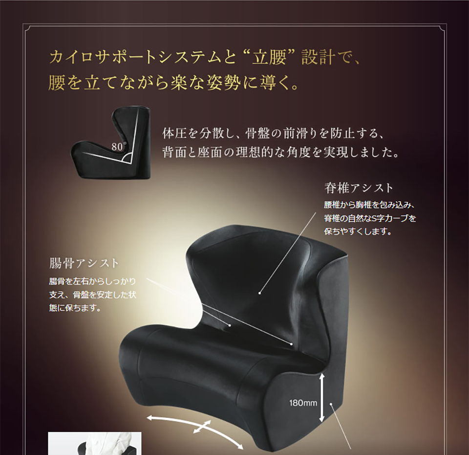 スタイル ドクターチェア デラックス Style DrChair DX - 矯正用品