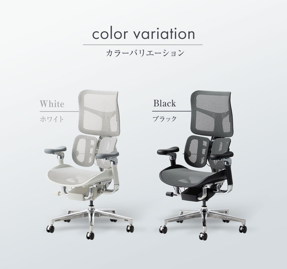 カラーバリエーション