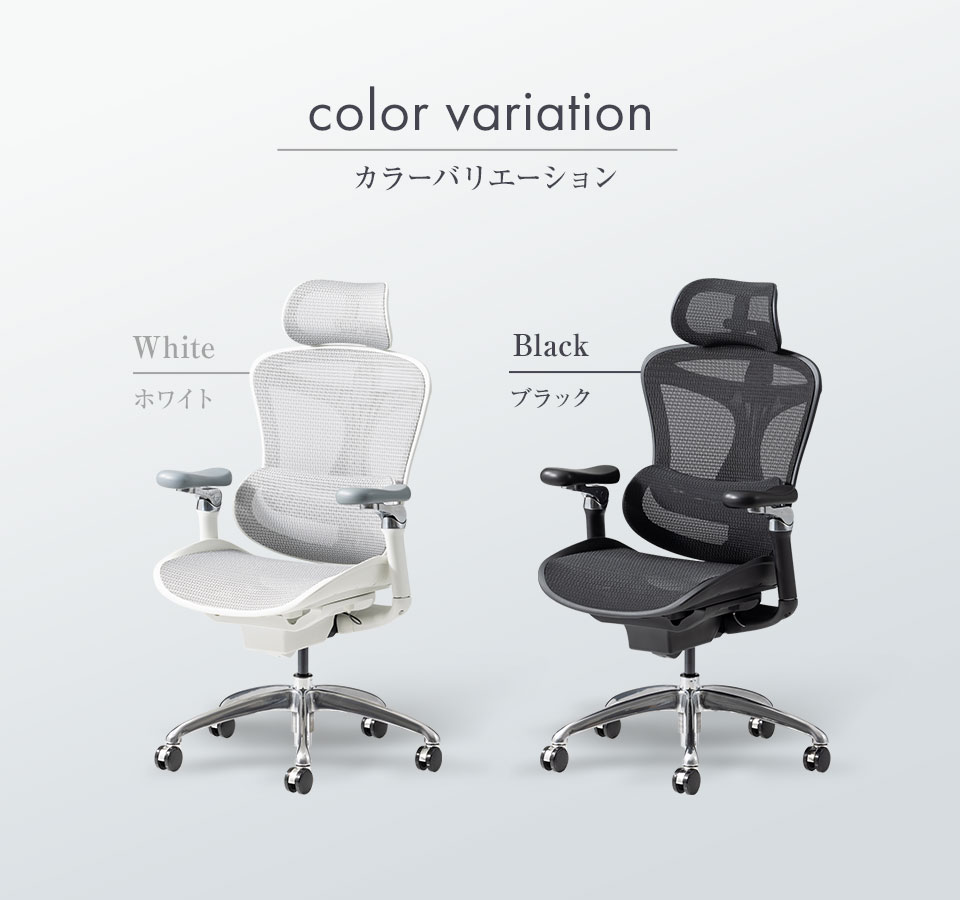 カラーバリエーション