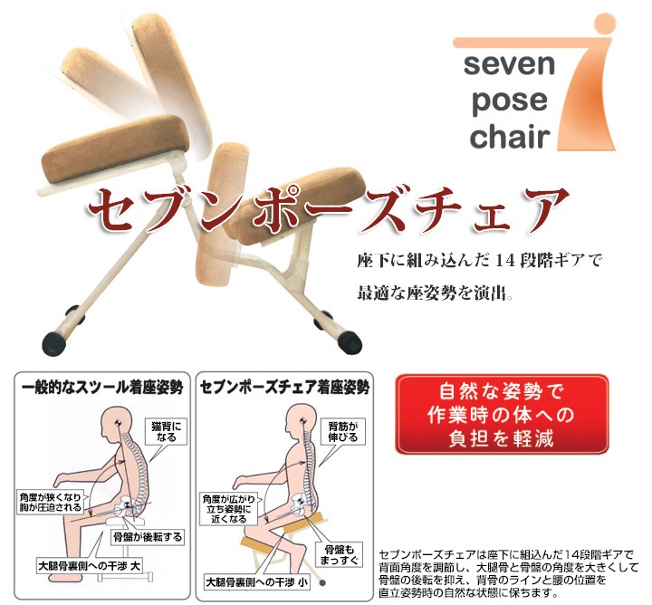 ルネセイコウ 正しい姿勢をサポートする可変式チェア セブンポーズチェア 日本製 完成品 SPC-14　ピンク・ブラック /a ルネセイコウ 快適座姿勢 セブンポーズチェア 可変式チェア