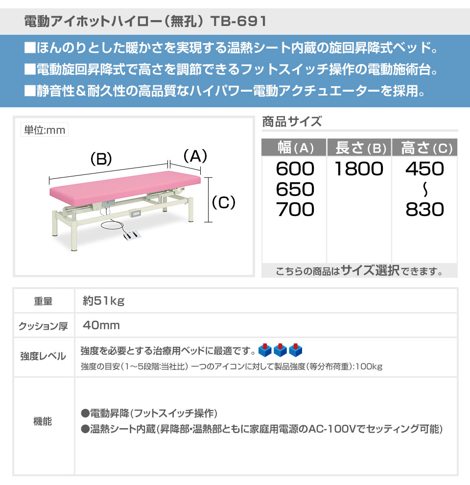 有孔 電動 アイホットハイロー ベット 電動アイホットハイロー TB-691