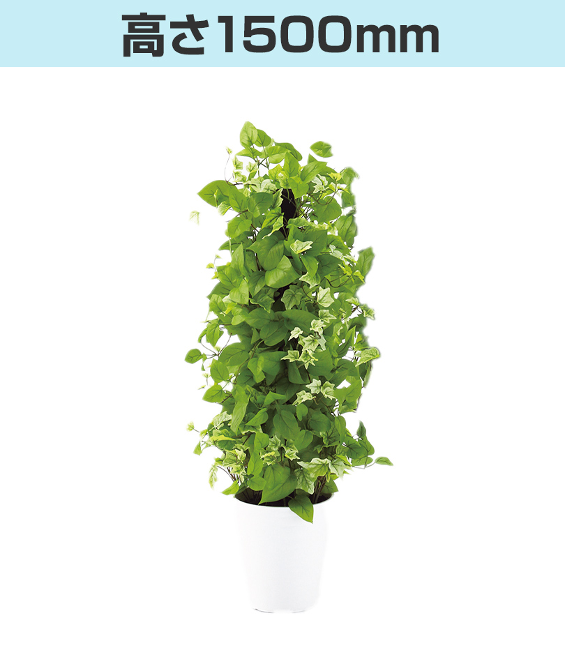 高さ1500mm