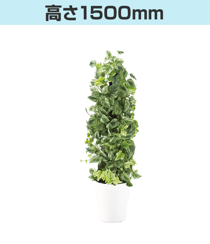 高さ1500mm