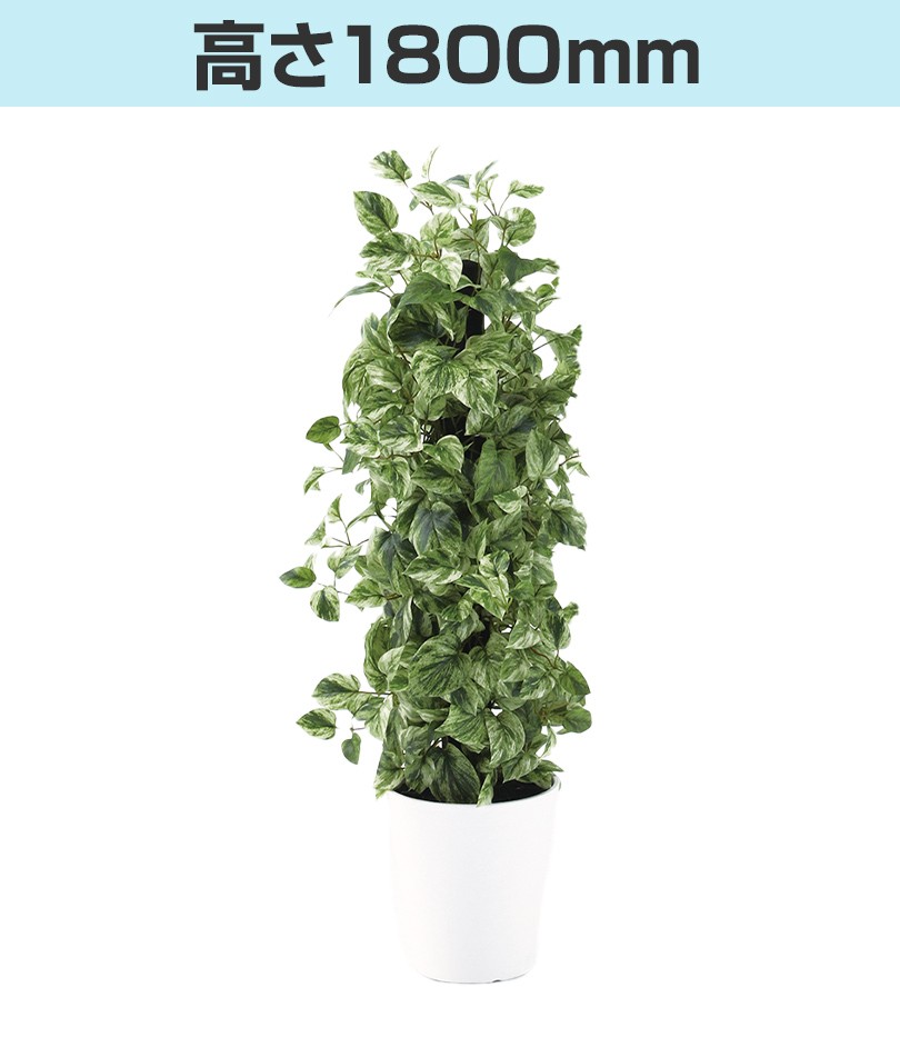 高さ1800mm
