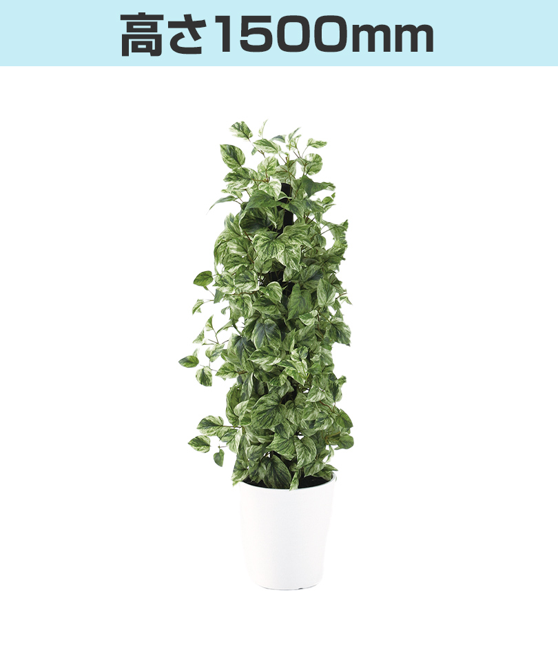 高さ1500mm