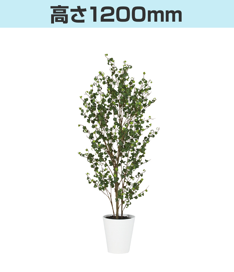 高さ1200mm