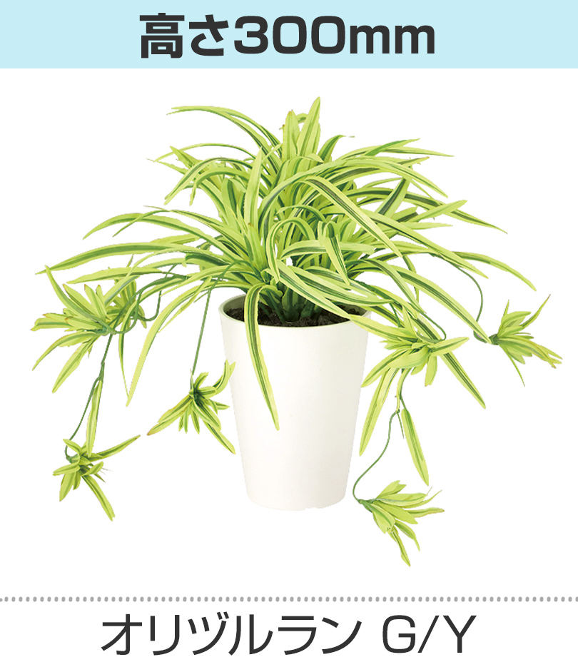 グリーンイエロー