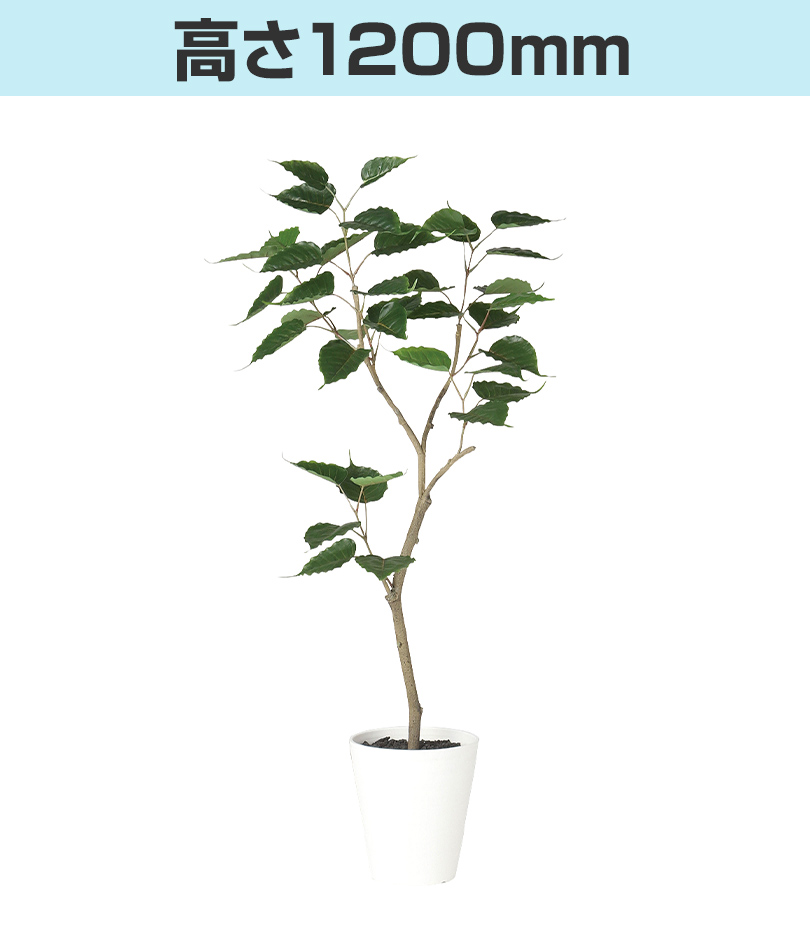 高さ1200mm