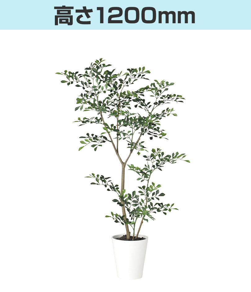 高さ1200mm