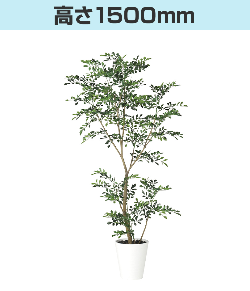 高さ1500mm