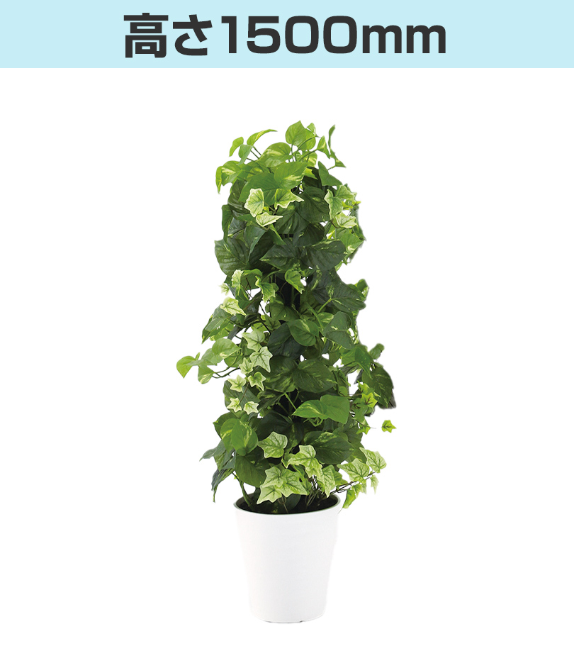 高さ1500mm