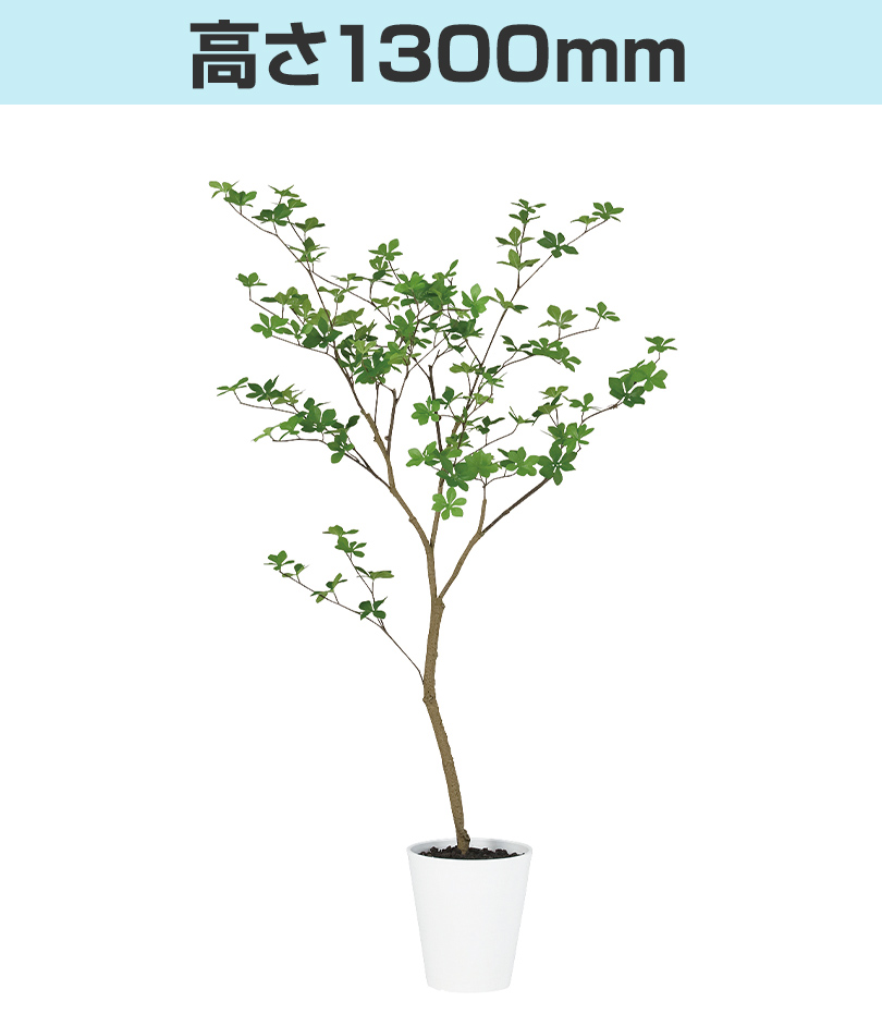 高さ1300mm
