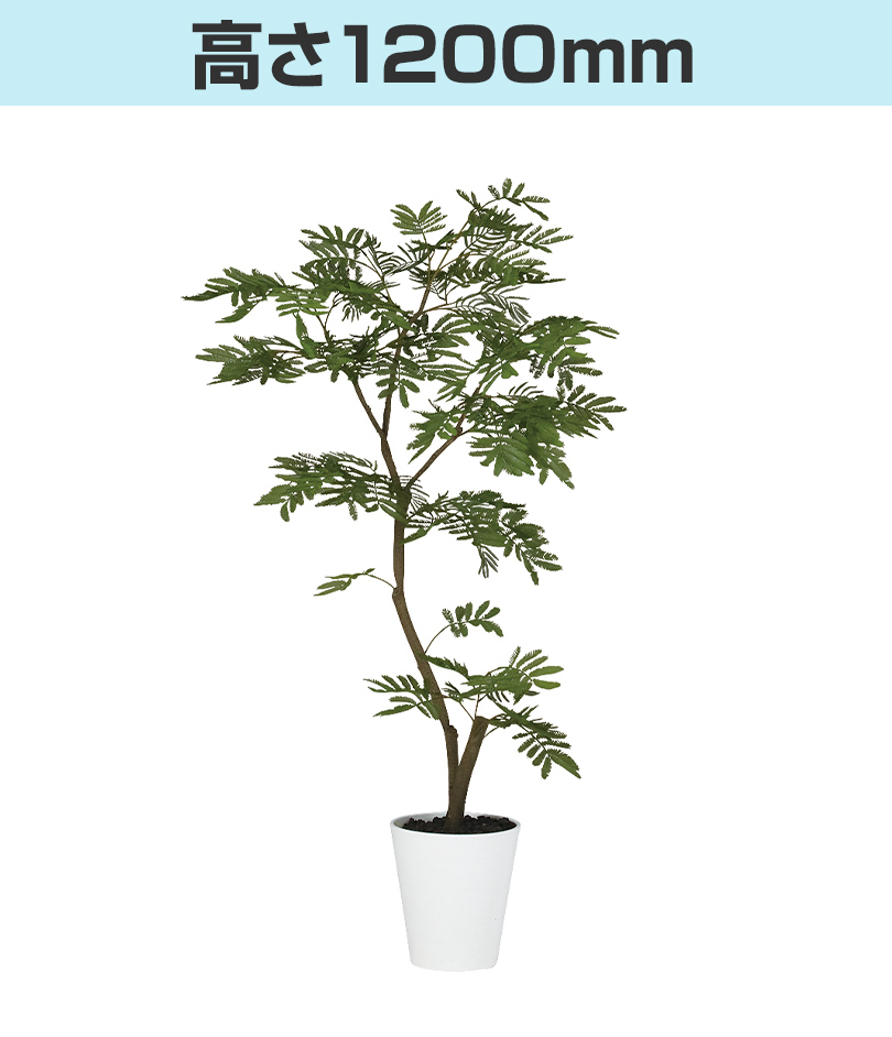 高さ1200mm