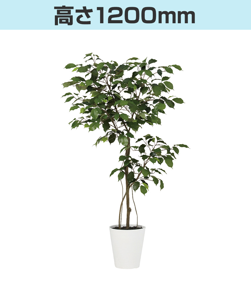 高さ1200mm