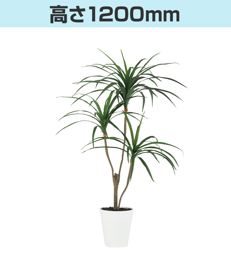高さ1200mm