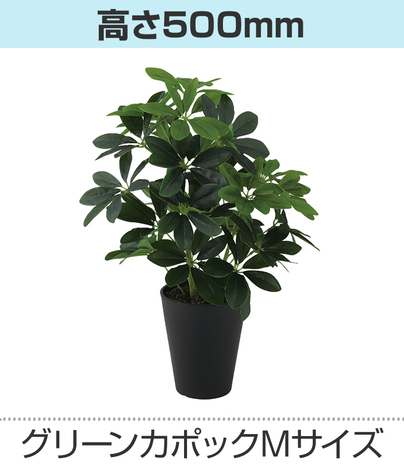 グリーン高さ500