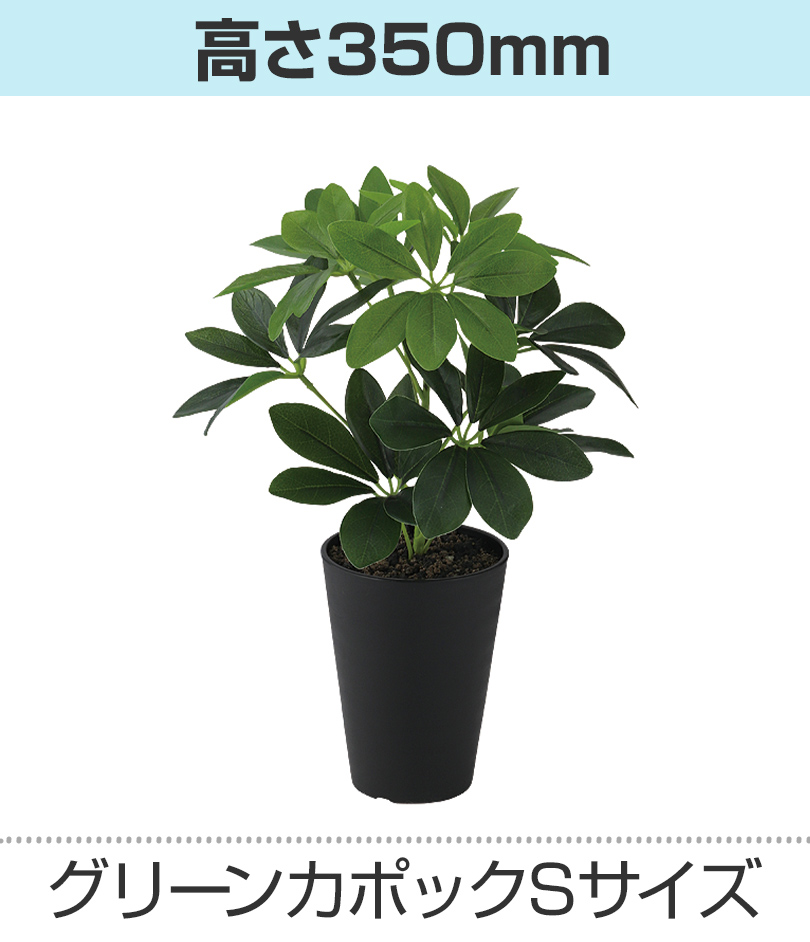 グリーン高さ350