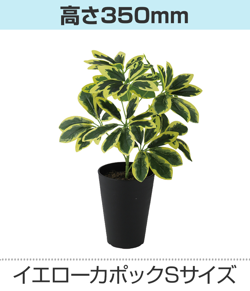 イエロー高さ350